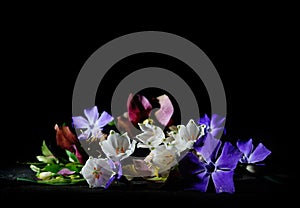 Still life assortment of Spring flowers including Leucojum on black background