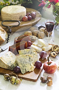 Still-life of Asturian blue cheese cabrales with sweet quince, nuts, hazelnuts, grapes, apple, and red wine photo