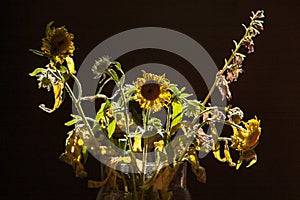 Still life with autumn flowers.