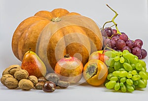 Still life, autumn food on white background