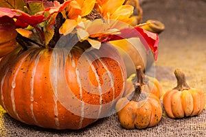 Still life autumn harvest, pumpkins and mushrooms