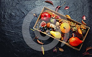 Still life with autumn harvest,space for text