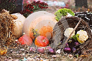 Still life with autumn vegetables and fruits on burlap background