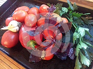 Still life of autumn vegetables, tomatoes,peppers, garlic, Basil, Celera photo