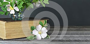 Still life background or banner with copy space. Wild roses in vase and old book on dark background