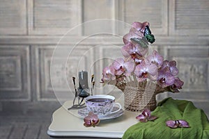 Still life with basket of orchid composition on the tea table