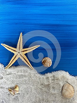 Still life beach concept with starfish and seashells