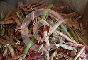 Still life of beans in a shed