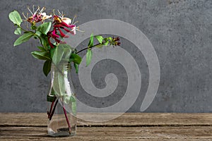 Still life with a beautiful bouquet of honeysuckle flowers. holiday or wedding background