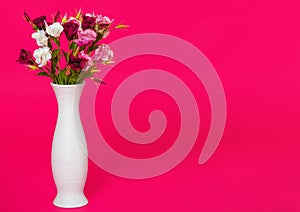 Still life with beautiful eustoma flowers