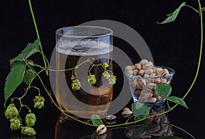 Still life with beer