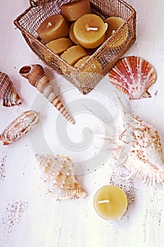 Still life, beeswax candles and sea shells