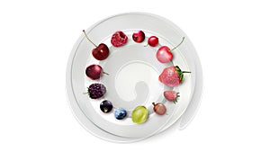 Still life of berries arranged in a circle on a white plate.