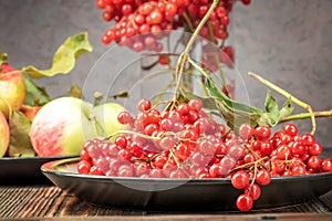 Still life berries of a viburnum and garden seasonal apples in p