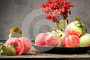 Still life berries of a viburnum and garden seasonal apples in plates
