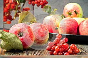 Still life berries of a viburnum and garden seasonal apples in plates