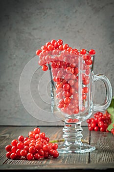 Still life berries of a viburnum in a glass