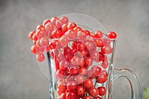 Still life berries of a viburnum in a glass