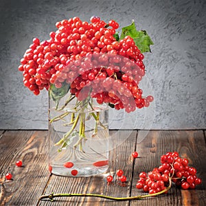 Still life berries of a viburnum in a glass