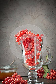 Still life berries of a viburnum in a glass and honey