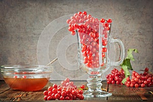 Still life berries of a viburnum in a glass and honey