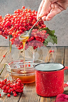 Still life berries of a viburnum in a glass and mug of hot tea and honey