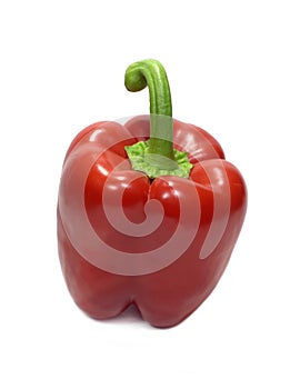 Still life with big ripe red bell pepper isolated on white background top view vertical