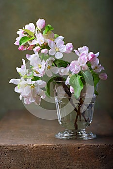 Still life with blossoming apple tree photo