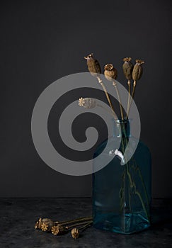 Still life with a blue bottle and dried poppy flower boxes