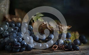 Still life with blue grape raceme in vintage style