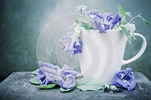 Still life Blue pea or butterfly pea in the coffee cup on wood.