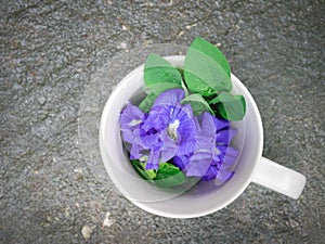 Still life Blue pea or butterfly pea in the coffee cup on wood.