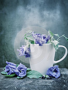 Still life Blue pea or butterfly pea in the coffee cup on wood.