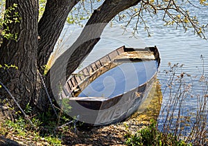 Still life with a boat