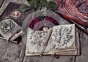 Still life with botanical drawings on shappy pages, decorated book and roses on planks