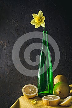 Still life of a bouquet of fresh, spring, yellow flowers of daffodils and lemon against a dark background. Selective focus