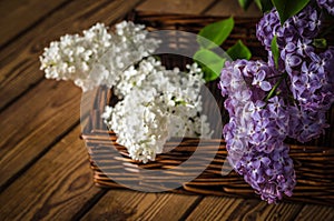 Still-life with a bouquet of lilac