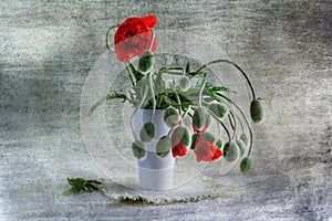 Still Life bouquet red poppies