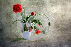 Still Life bouquet red poppies