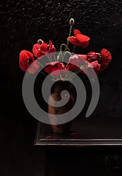 Still life bouquet  red poppies in a vase