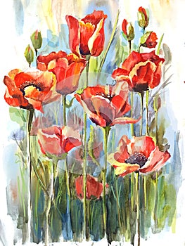 Still life bouquet of red poppies .Watercolor illustration flowers