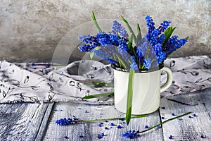 Still life bouquet spring flowers blue