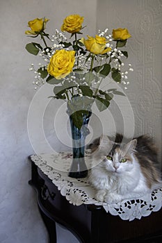 Still life with bouquet of yellow roses and pretty cat