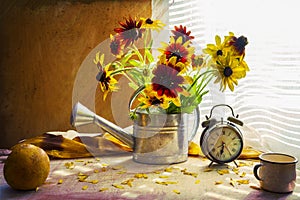 Still life with bouquet yellow rudbeckia watering can clock