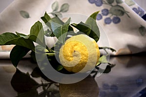 still life  with branch of lemon with leaves on abstract fabric background