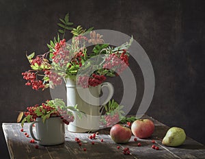 Still life with branches with berries red rowan in white vintage jug