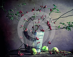Still Life branches hawthorn apples
