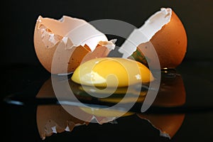 Still-life with a broken egg II