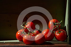 Still Life with a bunch of natural grown Tomatoes. Rustic wood background, antique wooden table