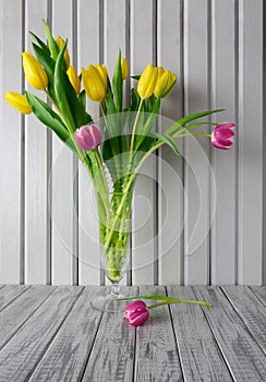 Still life,bunch yellow pink white tulips,crystal glass water vase,green leaves foliage,striped wooden boards,copy space